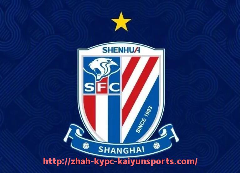 ky开云体育-德甲球队主场球场分布图及设施对比表格